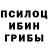 Галлюциногенные грибы GOLDEN TEACHER Nikita502