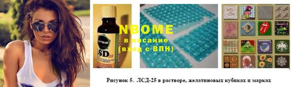 хмурый Зеленокумск
