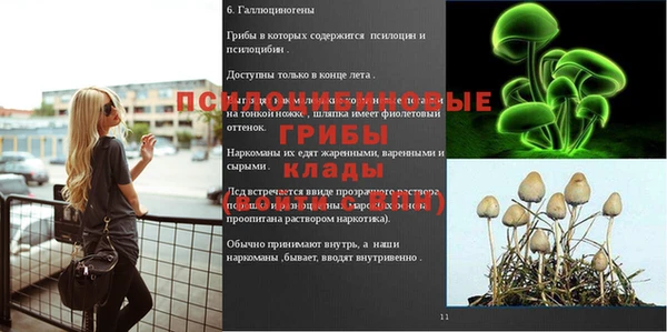 стаф Заволжск