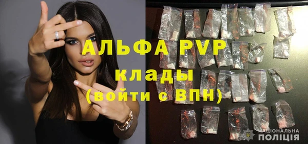 хмурый Зеленокумск